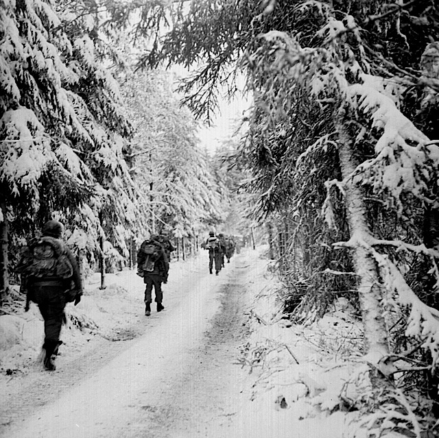 517th prct in the hurtgen forest